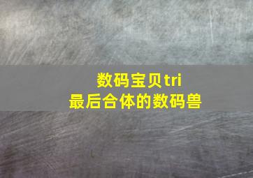 数码宝贝tri最后合体的数码兽