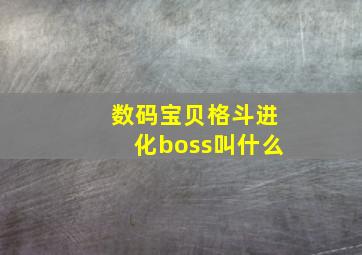 数码宝贝格斗进化boss叫什么