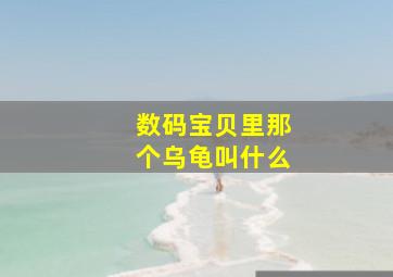 数码宝贝里那个乌龟叫什么