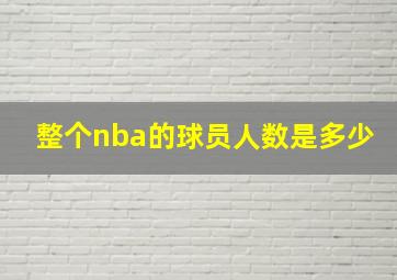 整个nba的球员人数是多少