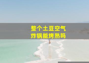 整个土豆空气炸锅能烤熟吗