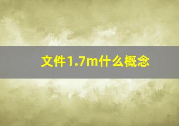 文件1.7m什么概念