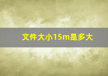 文件大小15m是多大