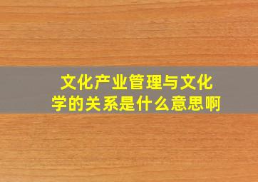 文化产业管理与文化学的关系是什么意思啊