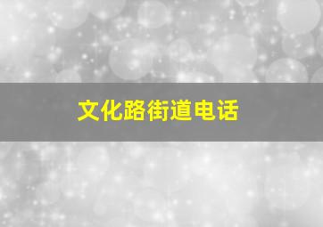 文化路街道电话