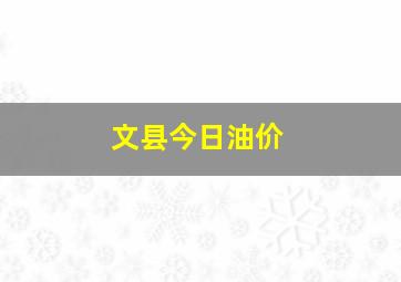 文县今日油价