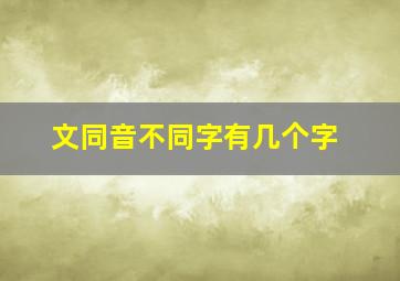 文同音不同字有几个字