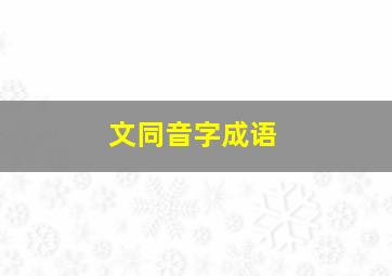 文同音字成语