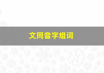 文同音字组词