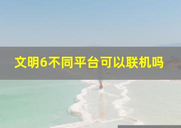 文明6不同平台可以联机吗