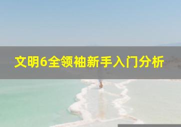 文明6全领袖新手入门分析