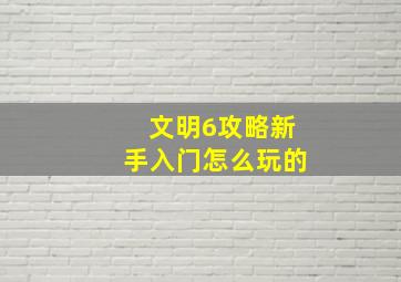 文明6攻略新手入门怎么玩的