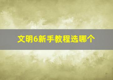 文明6新手教程选哪个