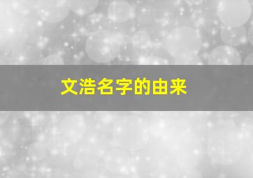 文浩名字的由来