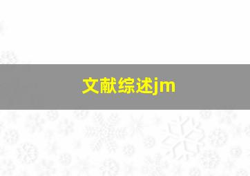 文献综述jm