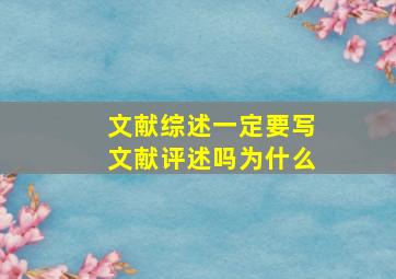 文献综述一定要写文献评述吗为什么