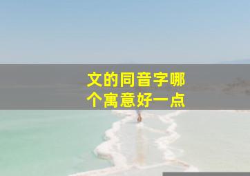 文的同音字哪个寓意好一点