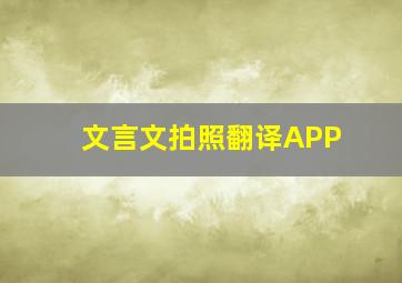 文言文拍照翻译APP