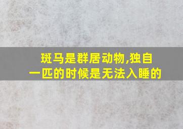 斑马是群居动物,独自一匹的时候是无法入睡的