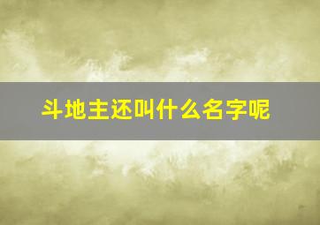 斗地主还叫什么名字呢