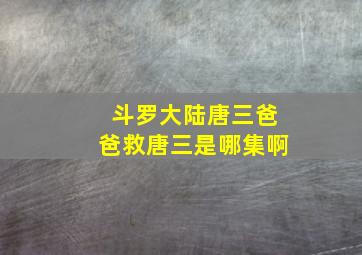 斗罗大陆唐三爸爸救唐三是哪集啊