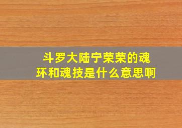 斗罗大陆宁荣荣的魂环和魂技是什么意思啊