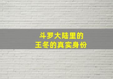 斗罗大陆里的王冬的真实身份