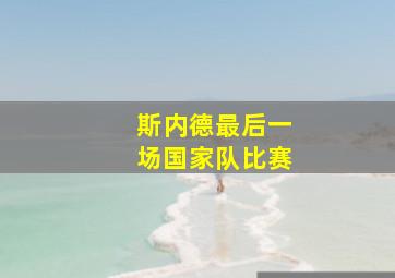 斯内德最后一场国家队比赛