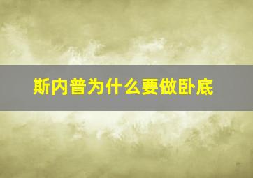 斯内普为什么要做卧底