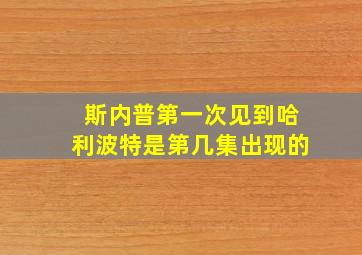 斯内普第一次见到哈利波特是第几集出现的