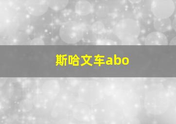 斯哈文车abo