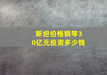 斯坦伯格钢琴30亿元投资多少钱