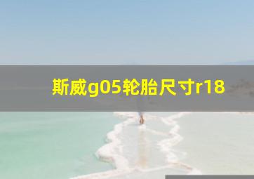 斯威g05轮胎尺寸r18