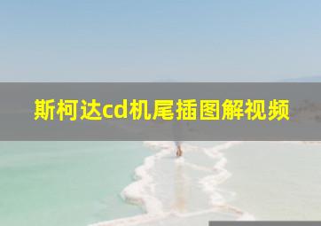 斯柯达cd机尾插图解视频