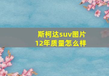 斯柯达suv图片12年质量怎么样