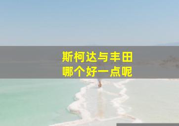 斯柯达与丰田哪个好一点呢