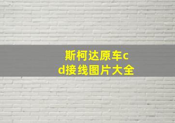 斯柯达原车cd接线图片大全