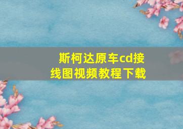 斯柯达原车cd接线图视频教程下载