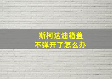 斯柯达油箱盖不弹开了怎么办