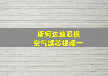 斯柯达速派换空气滤芯视频一