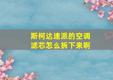 斯柯达速派的空调滤芯怎么拆下来啊