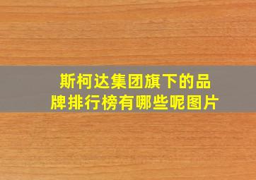 斯柯达集团旗下的品牌排行榜有哪些呢图片