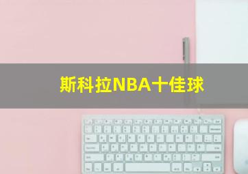 斯科拉NBA十佳球