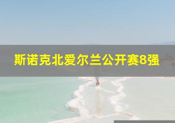 斯诺克北爱尔兰公开赛8强