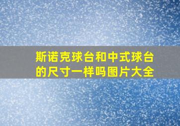 斯诺克球台和中式球台的尺寸一样吗图片大全