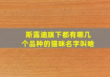 斯露迪旗下都有哪几个品种的猫咪名字叫啥