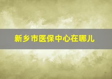 新乡市医保中心在哪儿