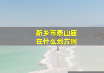 新乡市泰山庙在什么地方啊