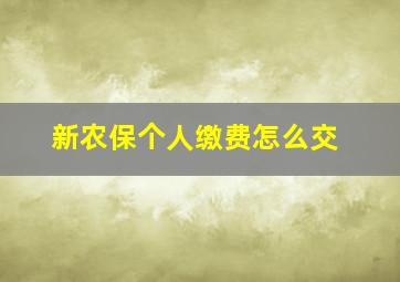 新农保个人缴费怎么交