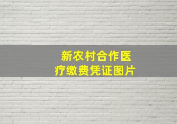 新农村合作医疗缴费凭证图片